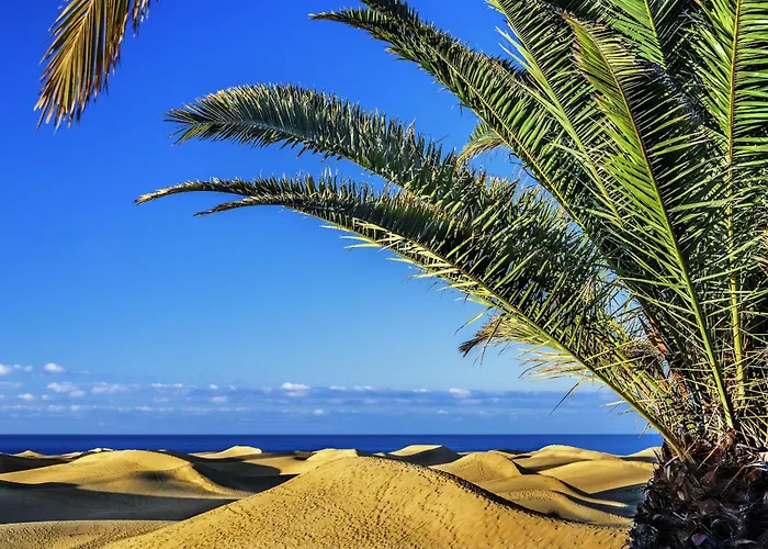 View I בית נופש